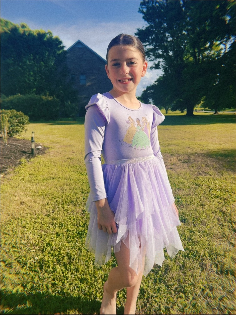 Target Lilac Princess Tulle Dress with Long Sleeves